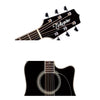 Takamine EF341SC Legacy Dreadnought Acoustic Electric Cutaway Guitar Case Black