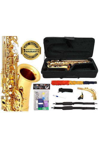 D'Luca 350 Series Gold Brass Eb Alto Saxophone with F# key, Professional Case, Cleaning Kit and 1 Year Manufacturer Warranty