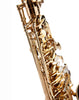 Fever Beginner Student Eb Alto Saxophone Gold with Case