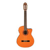 Washburn Classical Acoustic Electric Guitar