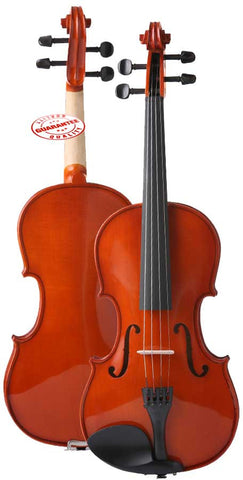 D'Luca Meister Student Violin Outfit 1/10