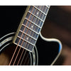 Washburn Festival EA10B Petite Jumbo Acoustic Electric Guitar