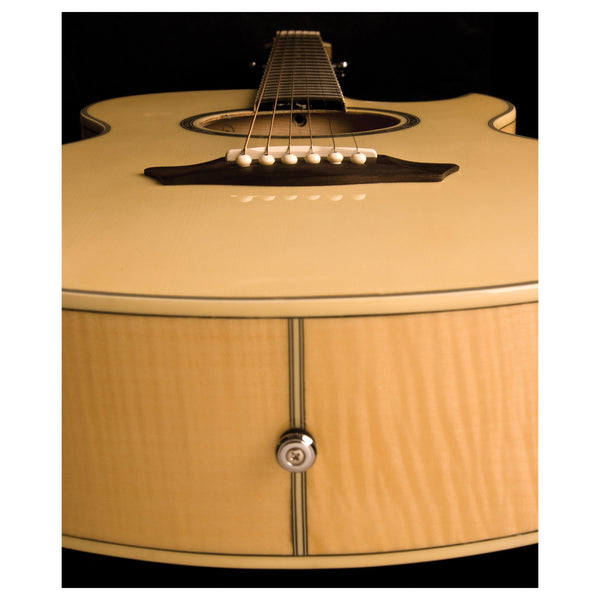 Washburn EA20 エレアコ ギター Washburn EA-20（中古）【楽器検索デジマート】