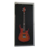 D'Luca Acrylic Acoustic / Electric Guitar Display Case (MADE TO ORDER)