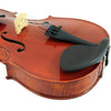 D'Luca PDZ02 16.5-Inch Orchestral Series Viola Outfit