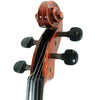 D'Luca PDZ02 16.5-Inch Orchestral Series Viola Outfit