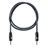 Planet Waves 1/8 Inch to 1/8 Inch Stereo Cable, 3 feet