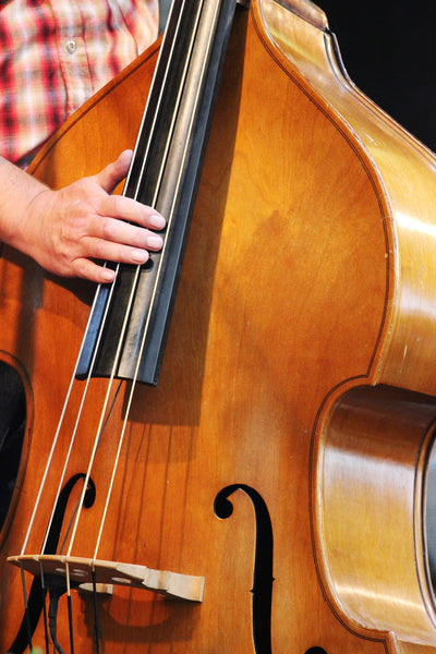 How to set up an upright bass (Double Bass)