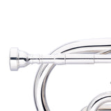 Stagg Levante Bb Cornet, Monel, Silver Plated