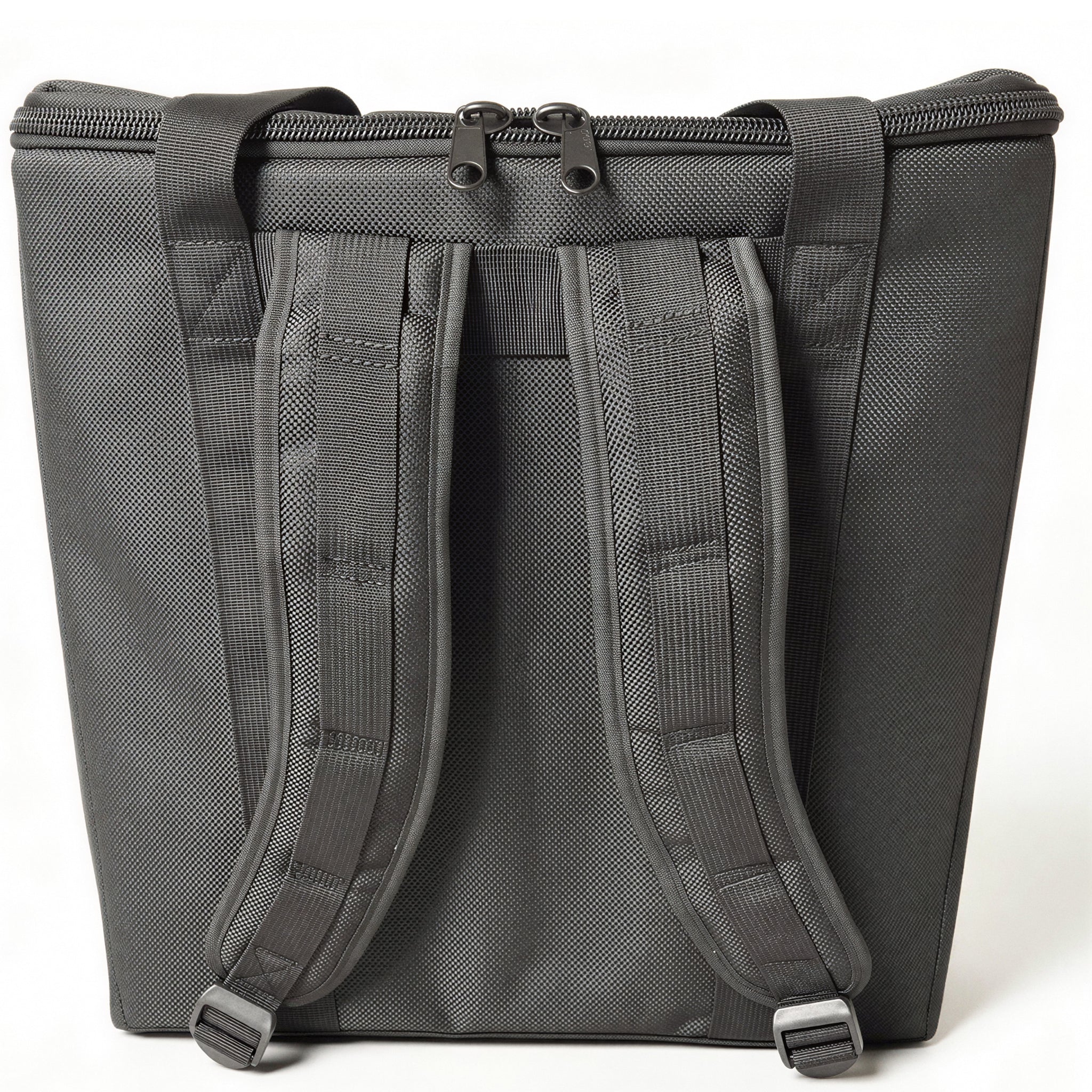 D'Luca BG Series Accordion Gig Bag for 96/120 Bass Piano Accordions, Black
