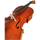 D’Luca Tonmeister 400 Ebony Fitted Cello Outfit 1/4 Size with Bow and Gig Bag