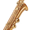 Yanagisawa BWO2 Baritone Saxophone Bronze