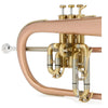 Blessing Standard Series Flugelhorn, Brushed Brass, Clear Lacquer, Outfit