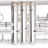 Stagg Levante Bb Cornet, Monel, Silver Plated