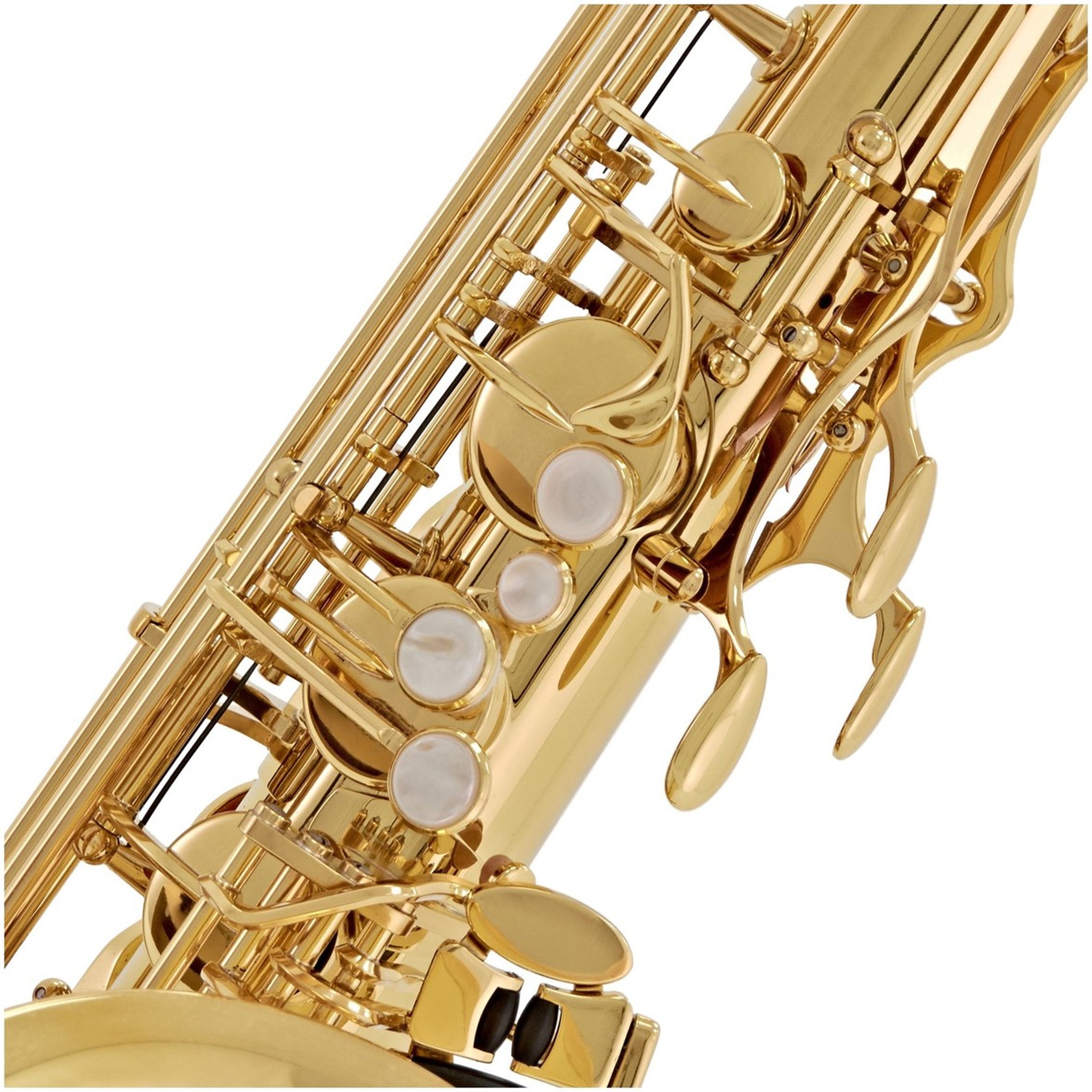 Yanagisawa TWO1 Tenor Saxophone Lacquer