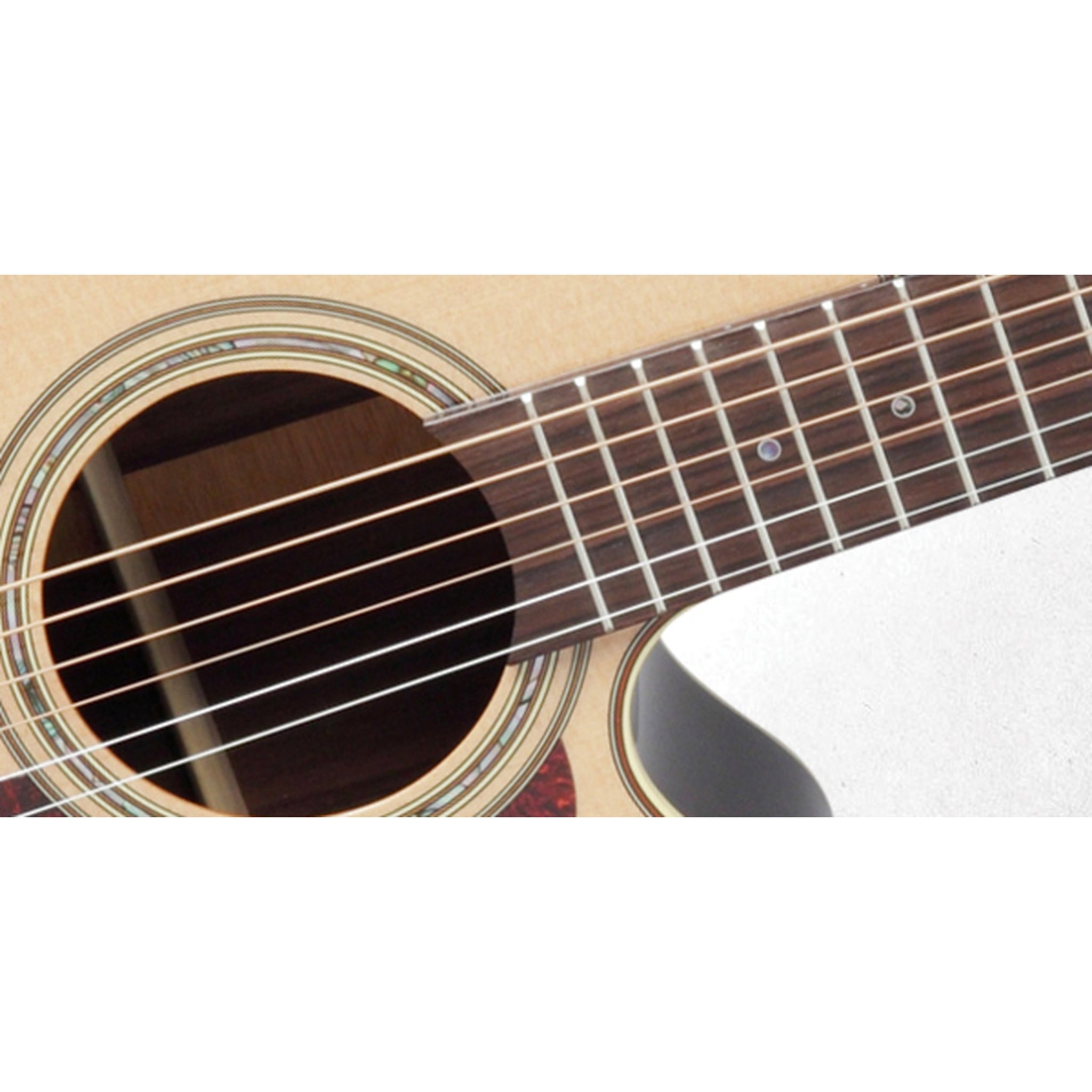 Takamine P5NC Pro 5 Acoustic-Electric Guitar W/Semi-Hard Case