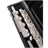 Selmer SFL611BO Professional Open Hole Flute B foot, Offset G