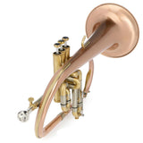 Blessing Standard Series Flugelhorn, Brushed Brass, Clear Lacquer, Outfit