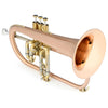 Blessing Standard Series Flugelhorn, Brushed Brass, Clear Lacquer, Outfit