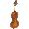 D'Luca Solid Wood Hand-Made Ebony Violin 4/4 Full Size