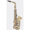 Blessing Eb Alto Saxophone, Gold Lacquer, Outfit