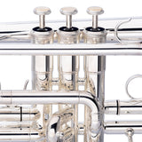 Stagg Levante Bb Cornet, Monel, Silver Plated