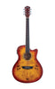 Washburn DFBACE Deep Forest Burl Grand Auditorium Acoustic Electric Guitar Amber
