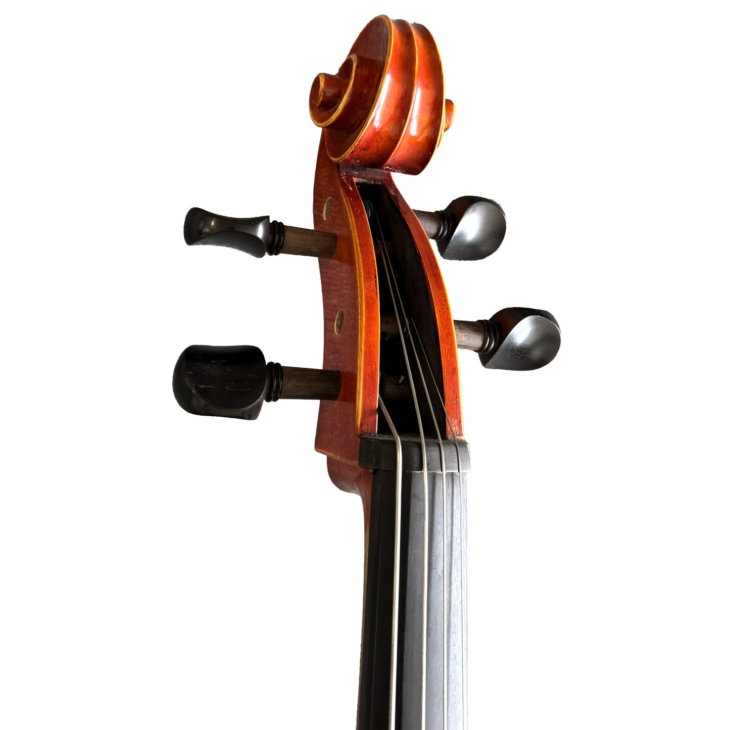 D’Luca Tonmeister 400 Ebony Fitted Cello Outfit 3/4 Size with Bow and Gig Bag