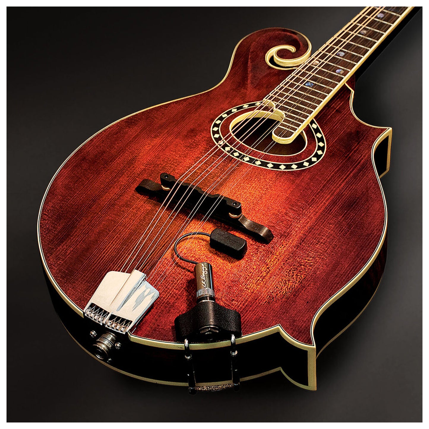 L.R. Baggs Radius Mandolin Pickup with External Jack