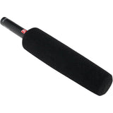 sE Electronics Premium Small Diaphragm Supercardioid Lobar Condenser Shotgun Mic