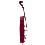 D'Luca Meister Student Cello Package 1/4 Size w/Stand, Bag, Tuner, Rosin & Bow