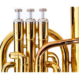 Fever Deluxe Alto Horn Lacquer