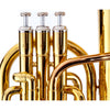 Fever Deluxe Alto Horn Lacquer