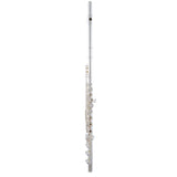 Selmer SFL611BC Professional Open Hole Flute B foot, Offset G, Split E