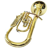 D'Luca MX280 Series Gold Brass Alto Horn with Case