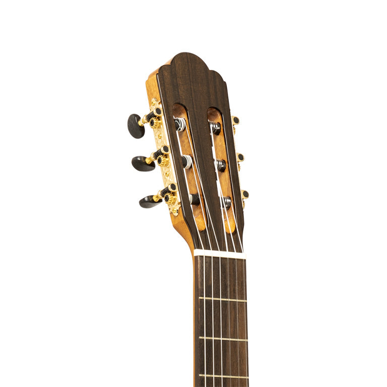 Angel Lopez Mazuelo Serie, Electric Classical Guitar Solid Cedar Top, Cutaway