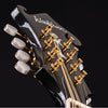 Washburn M1SD Americana Series A-Style Mandolin. Black