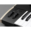 Korg 49-Key Midi Controller Compact