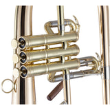 Conn 1FG Vintage One Bb Flugelhorn Gold Brass Bell