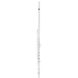 Selmer SFL611BO Professional Open Hole Flute B foot, Offset G