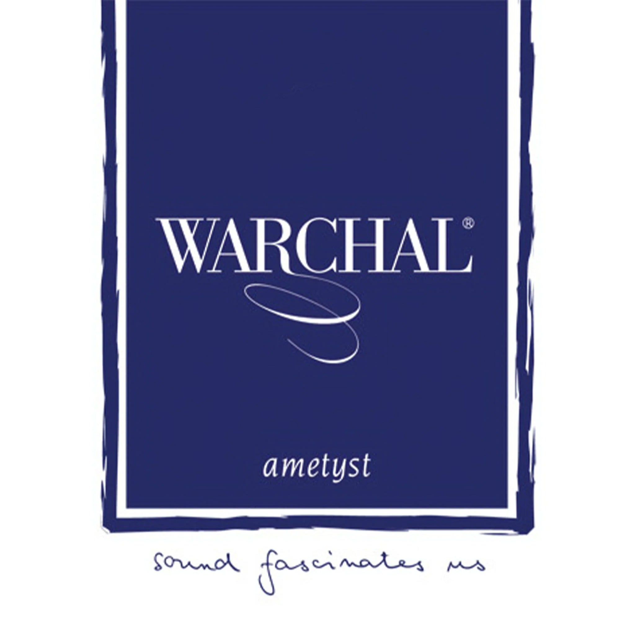 Warchal Ametyst, Violin G String, (Synthetic/Silver), 1/2