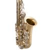 Selmer SAS301 Premium Student Eb Alto Saxophone Lacquer
