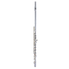 Armstrong AFL201 Concert Closed Hole C Flute