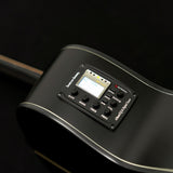 Washburn DFED-U Deep Forest Dreadnought Acoustic Guitar. Striped Ebony