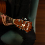 Washburn F5 Apprentice Series Folk Acoustic Guitar