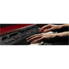 Nord NGRAND Grand 88-Key Kawai Hammer Action with Ivory Touch