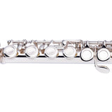 Stagg C Flute, Closed Holes, Offset G