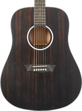 Washburn DFED-U Deep Forest Dreadnought Acoustic Guitar. Striped Ebony