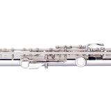 Stagg C Flute, Closed Holes, Offset G