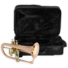 Blessing Standard Series Flugelhorn, Brushed Brass, Clear Lacquer, Outfit